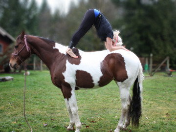 Horse Yoga