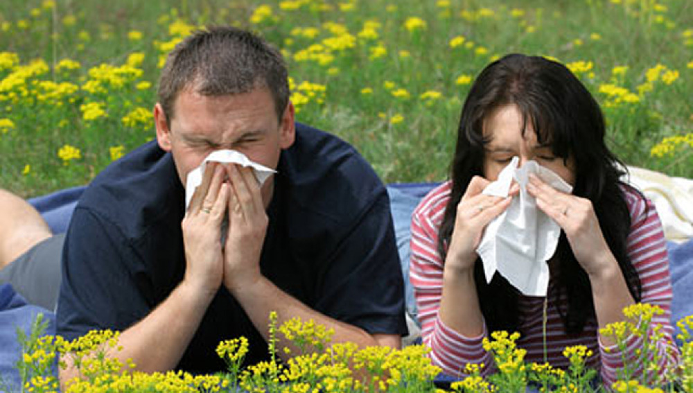 La alergia al polen, cada vez más extendida