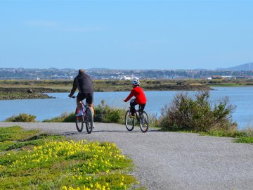 Ruta en bicicleta por la provincia de C&aacute;diz