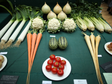 Alimentos que te ayudarán a desintoxicarte Alimentos que te ayudarán a desintoxicarte