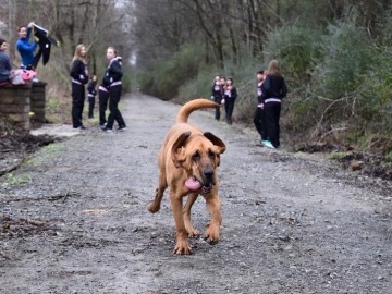 Ludivine, la perrita runner
