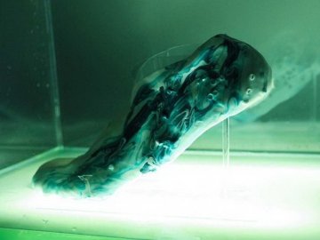 Zapatilla "Amoeba"