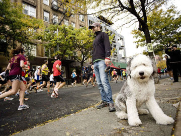 Un espectador con su perro en la Marat&oacute;n de Londres