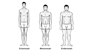 Tipos de cuerpo de hombre